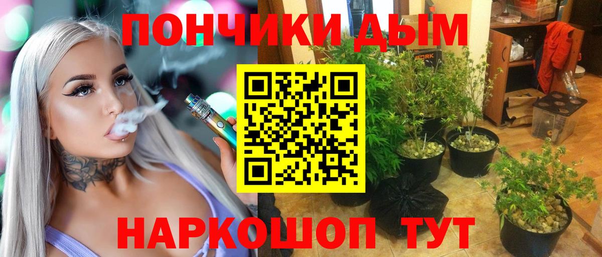 Бошки Шишки AK-47  Марихуана Amnesia  Шишки марихуана план  Бошки Шишки THC 21%  Салават  Вход с VPN 